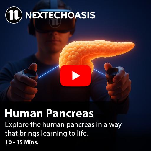 VR Education Platform